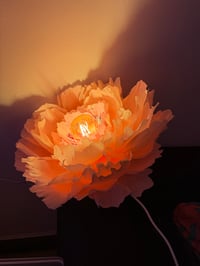 Image 3 of ACID BLOOM workshop