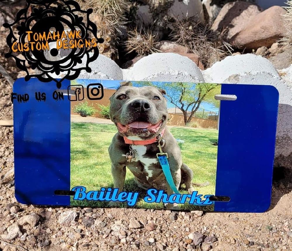 Image of License plates