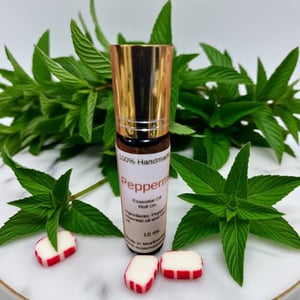 Image of Back to Basics