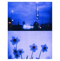 Image 1 of NIGHT DRIVE DAFFODILS II
