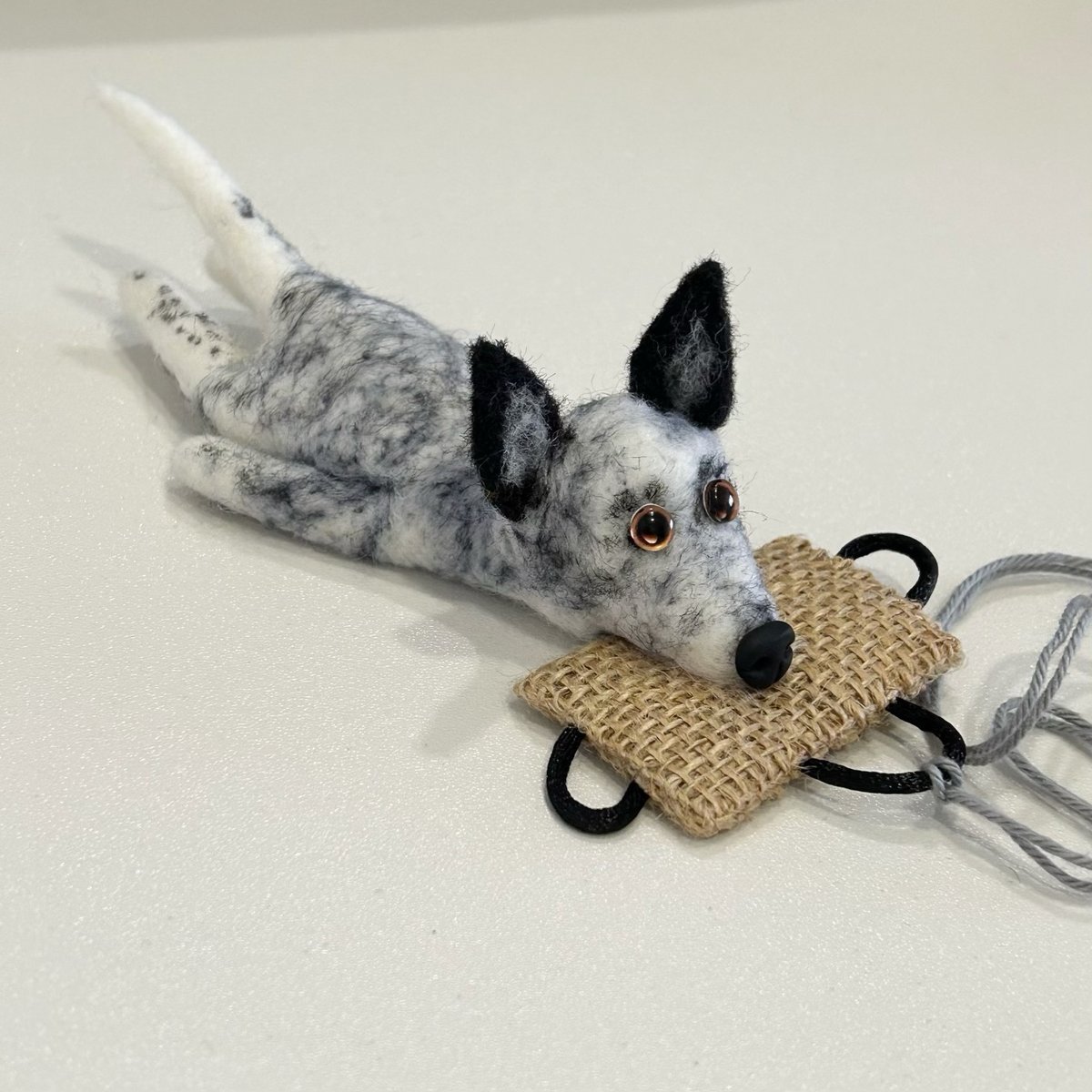 Australian Cattle Dog “Black White Heeler“ Specialproject