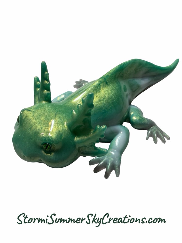 Image of Axolotl 