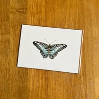 Image 5 of Butterfly Print #3 - Various Designs