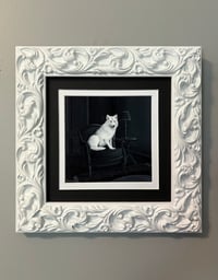 Image 2 of The Wolves (sold separately)