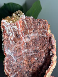 Image 5 of XL PINK CHALCEDONY GEODE -MOROCCO- A