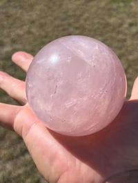 Image 5 of Star Rose Quartz Sphere #2642