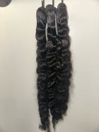 Image 2 of Raw Burmese Curly 