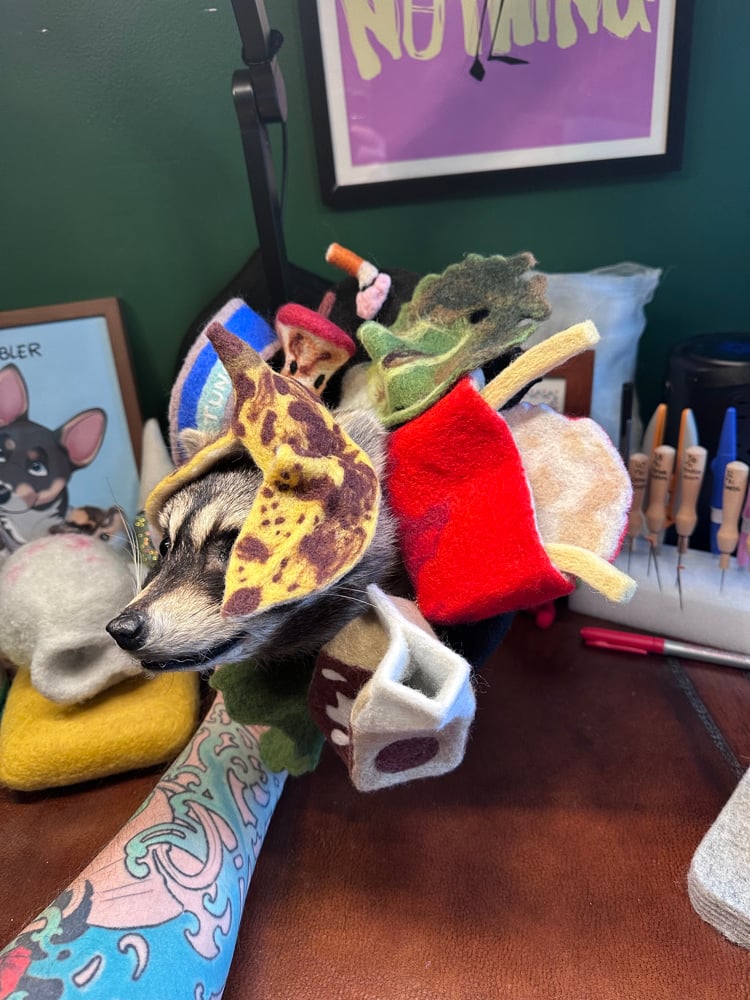 Image of Trash Panda’s Delight