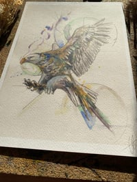 Image 5 of Print Aigle 