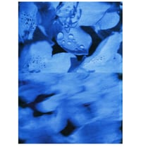 Image 1 of BLUE FLOWERS 
