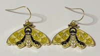 Moon moth