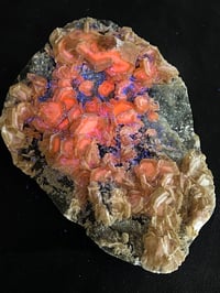 Image 4 of UV Cookie Calcite Specimen #1839