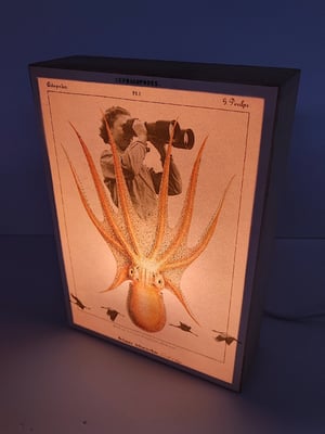 Image of Exploradora