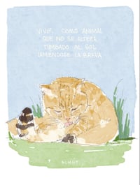 Image 2 of Lámina Gato