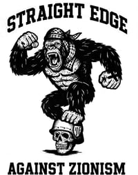 Image 1 of STRAIGHT EDGE against Zio -preorder-