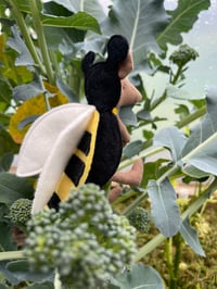 Image 4 of Maileg Bug wings