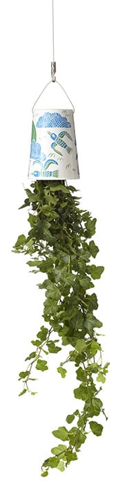 Artist Series Sky Planter (Marcus Oakley)