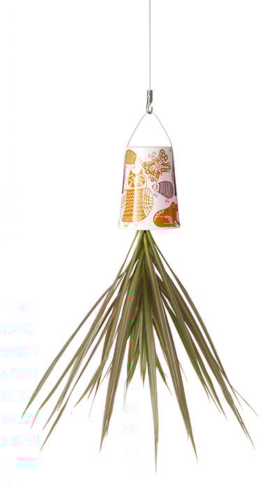 Artist Series Sky Planter (Marcus Oakley)