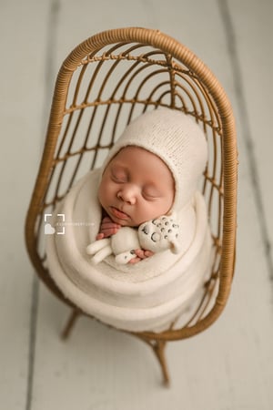 Image of Snow Leopard Lovey