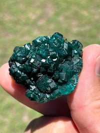 Image 16 of Dioptase Specimen #2539