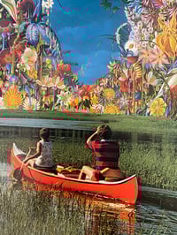 Image 1 of How do your flowers grow 