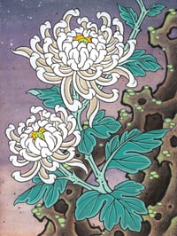 White Chrysanthemum