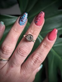 Image 4 of Contrast Glam Collection 