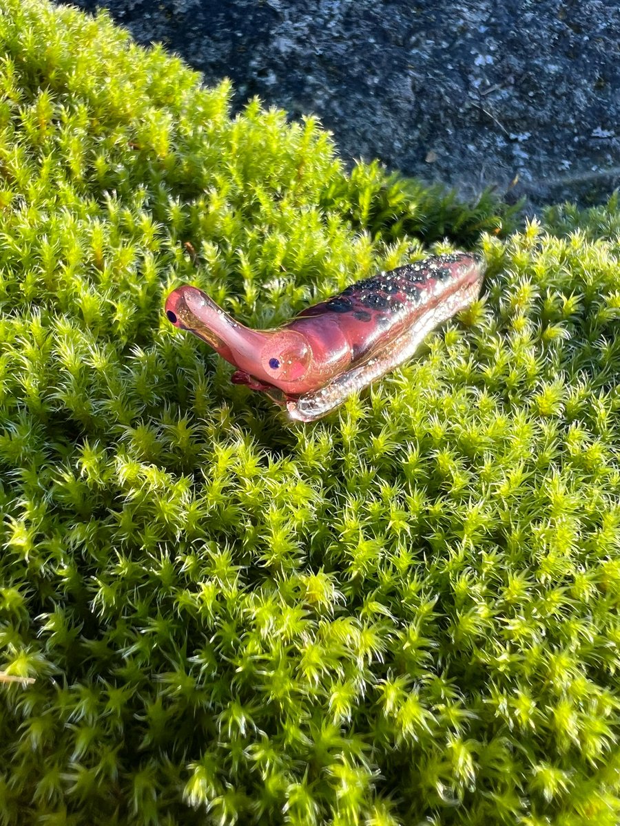 Image of Lil Pink Boro Slug