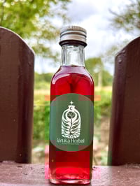 Image 4 of SIDRA DE FUEGO  DE BAYAS DE SAÚCO