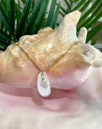 Image 2 of Oyster Shell Necklace N168