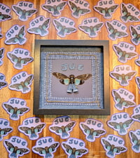 Image 3 of JUG sticker