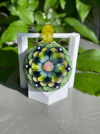 Image 1 of zesty