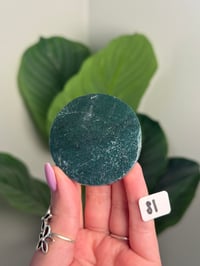 Image 19 of CHOOSE YOUR OWN MOSS AGATE DISK -INDIA- LOT 1