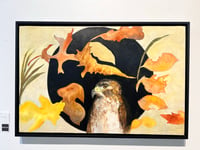 Image 4 of Hawk in the Falling season- Diane Matz