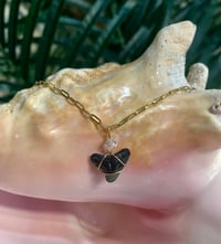 Image 1 of Shark Tooth Necklace ST110