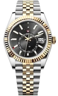 Image 4 of Skydweller