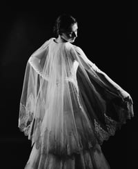 Image 12 of Awakened Beauty