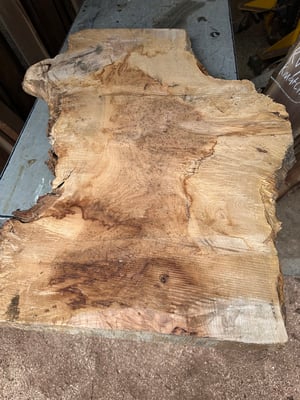 figured maple 14