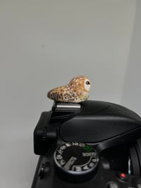 Image 2 of Barn Owl Hotshoe Cover