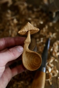 Image 4 of Mushroom Coffee Scoop….