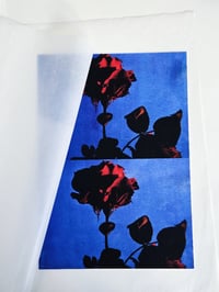 Image 2 of PICK ROSES AT NIGHT I