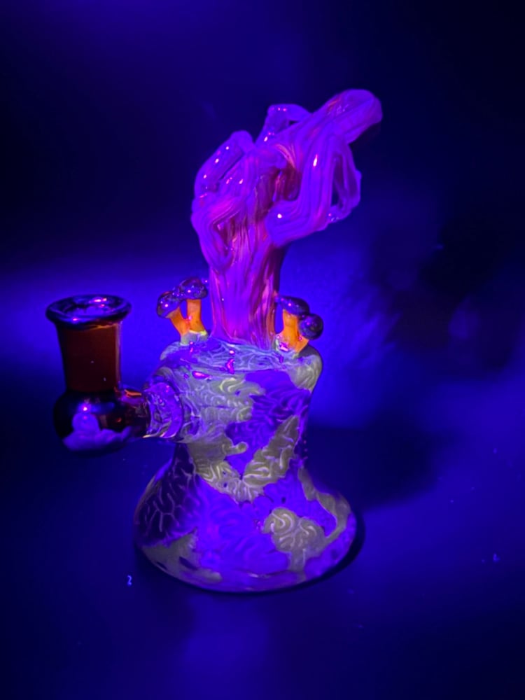 Image of Green Headed Jelly Jammer 