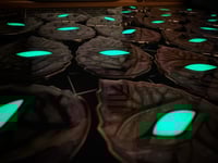Image 3 of “𝐸𝓎𝑒 𝑜𝒻 𝑀𝓎𝓈𝒾𝓉𝒸” Leaf Coins