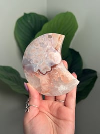 Image 2 of HQ FLOWER AGATE MOON -MADAGASCAR- 