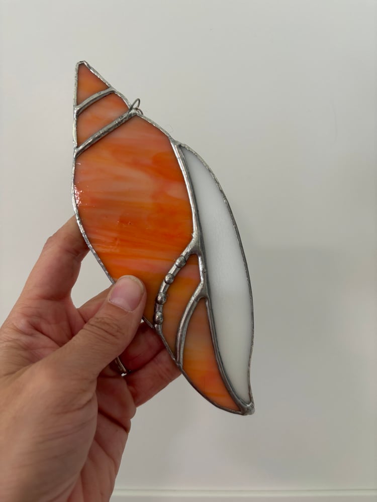 Image of Peach Seashell