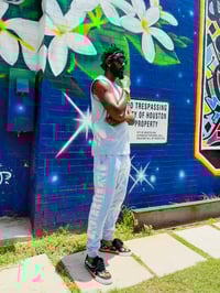 Image 4 of THE VANDAL CODE GREY MATTER