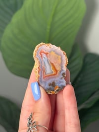 MINI DENDRITIC RAINBOW LAGUNA AGATE