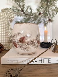 Image 1 of Classic Fir Collection - Pot