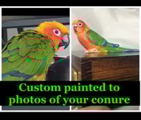 Image 2 of Custom Engraved Sunrise Conure Bird Mini Urn Pet Portrait To Your Photos