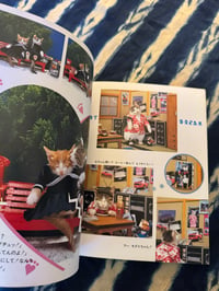 Image 12 of Namennayo Cats, Satoru Tsuda, 1981
